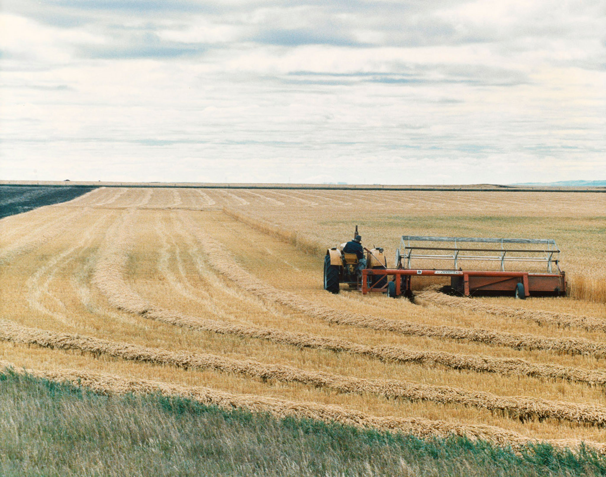Prairie Harvest