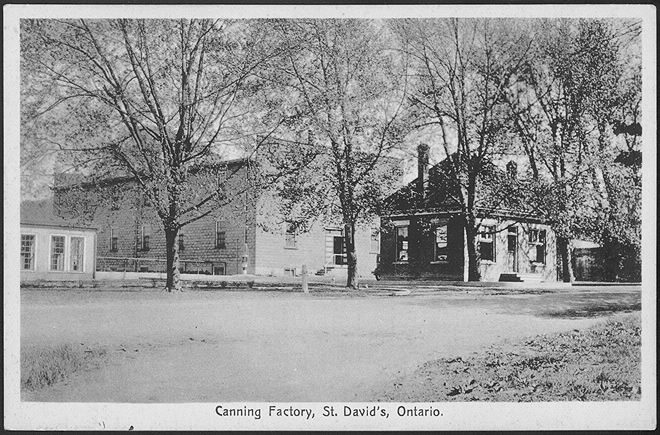 Photo of Aylmer's canning factory in St. David's, Ontario