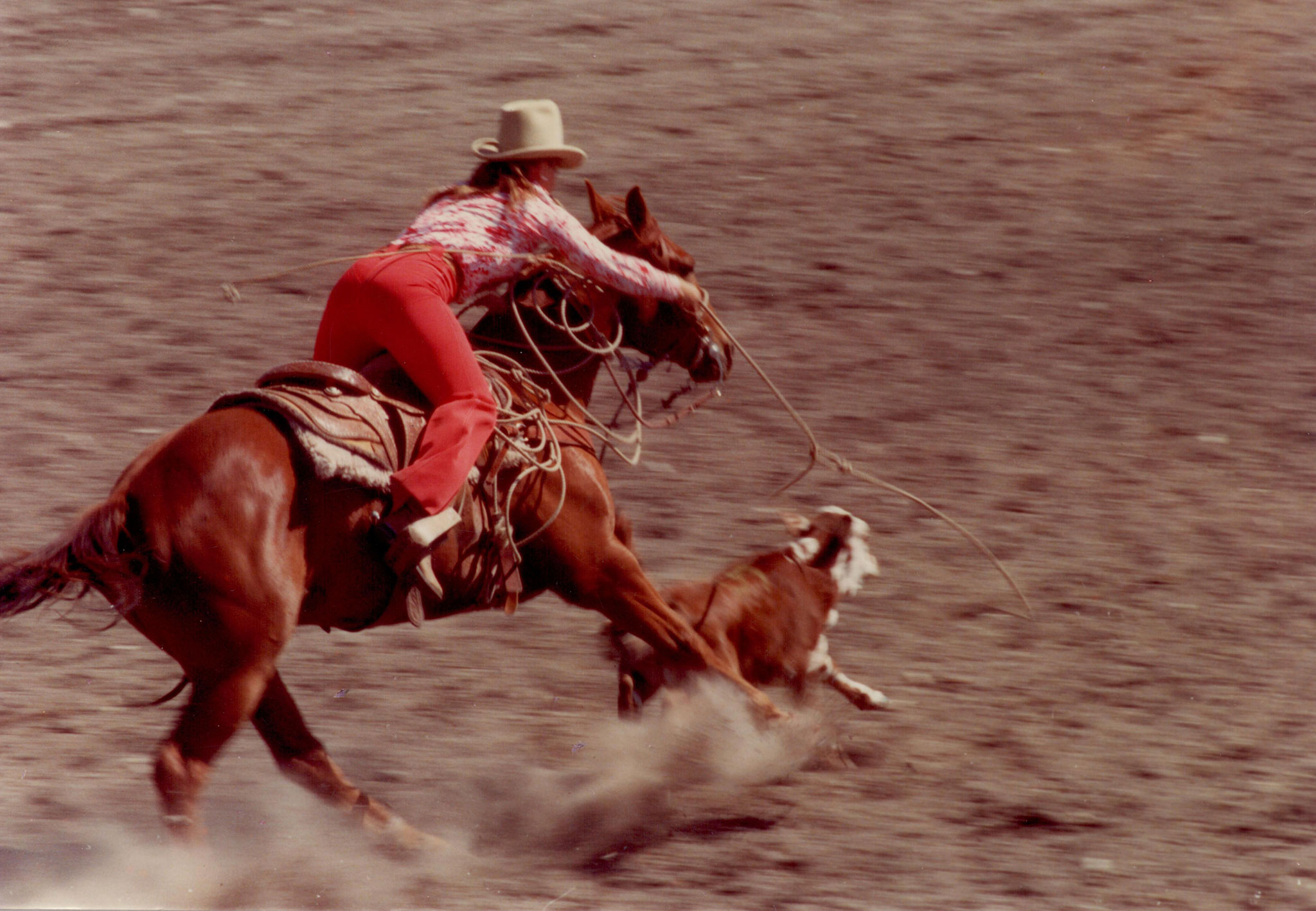 Grande Prairie Stompede 1973